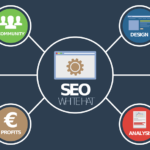 Knowledge About SEO